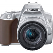 Фотоаппарат Canon EOS 250D Kit EF-S 18-55mm f/4-5.6 IS STM, серебристый